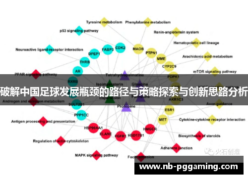 破解中国足球发展瓶颈的路径与策略探索与创新思路分析