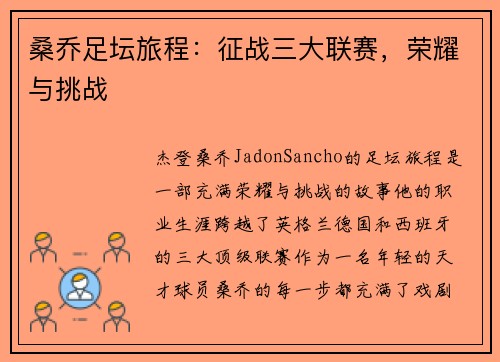 桑乔足坛旅程：征战三大联赛，荣耀与挑战