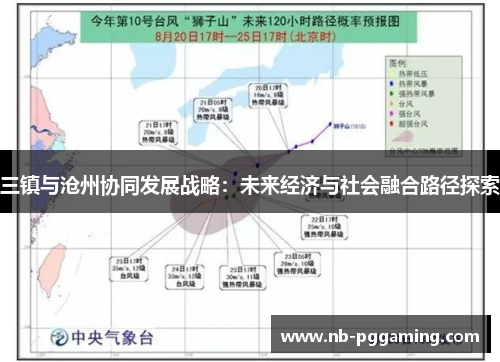 三镇与沧州协同发展战略：未来经济与社会融合路径探索