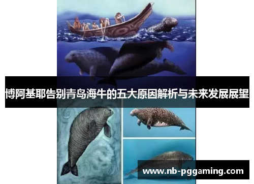 博阿基耶告别青岛海牛的五大原因解析与未来发展展望