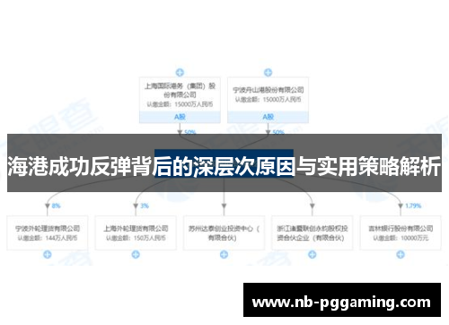 海港成功反弹背后的深层次原因与实用策略解析