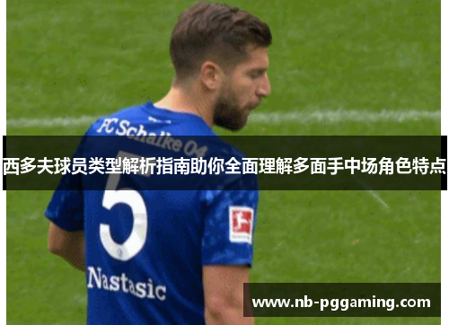 西多夫球员类型解析指南助你全面理解多面手中场角色特点 西多夫球员类型解析指南助你全面理解多面手中场角色特点