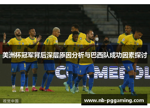 美洲杯冠军背后深层原因分析与巴西队成功因素探讨