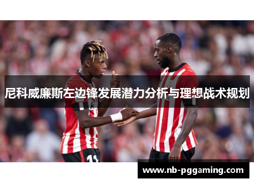 尼科威廉斯左边锋发展潜力分析与理想战术规划