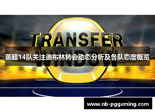 英超14队关注迪布林转会动态分析及各队态度概览